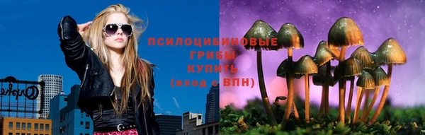 спайс Алексин