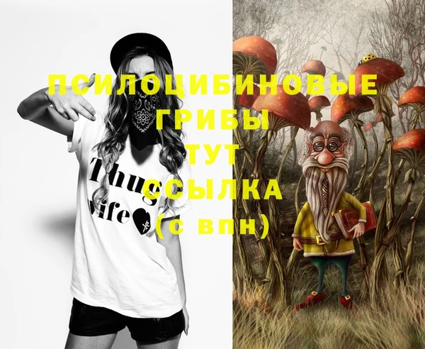 бутират Алексеевка