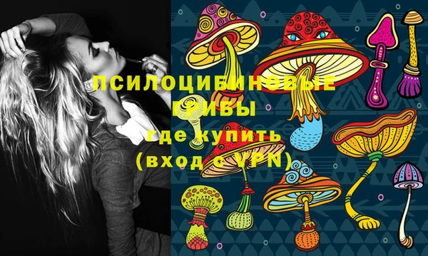 спайс Алексин