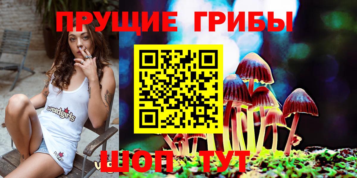 Самара  Галлюциногенные грибы прущие грибы  Вход с VPN 
