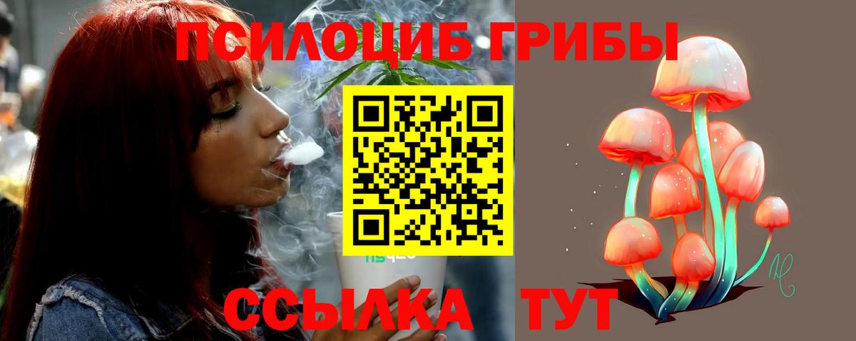 Галлюциногенные грибы прущие грибы Самара